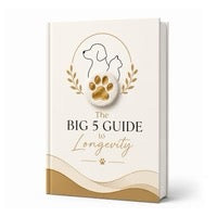 The Big 5 Longevity Guide