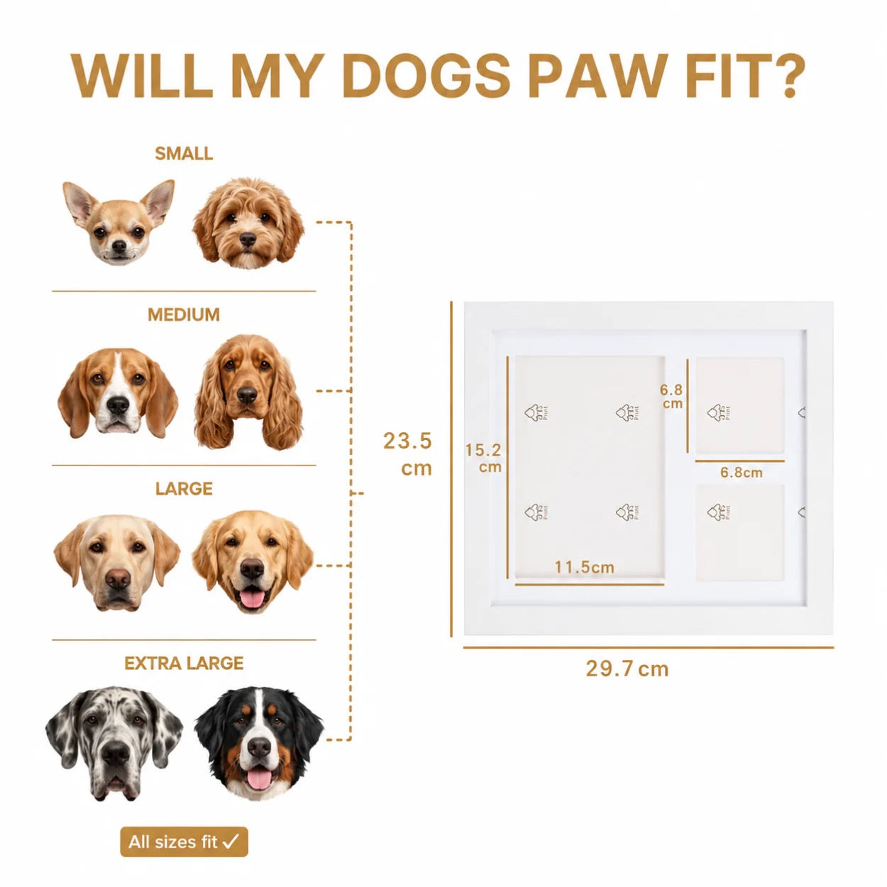 Golden Paws Clay Kit