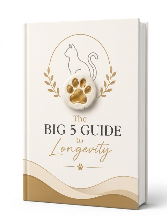 The Big 5 Longevity Guide Cats